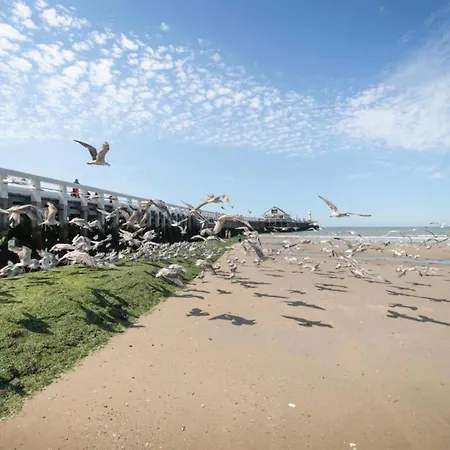 In Near The 公寓 *