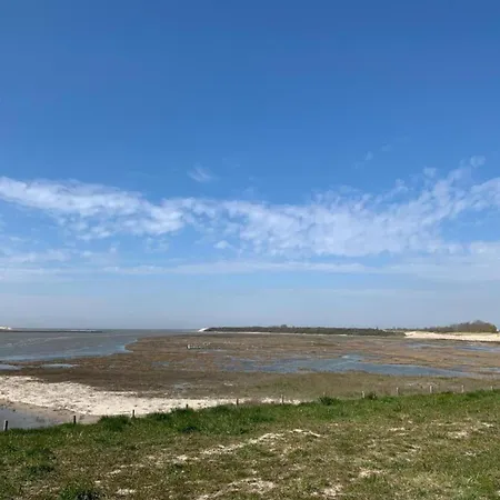 In Near The 블랑켄베르크