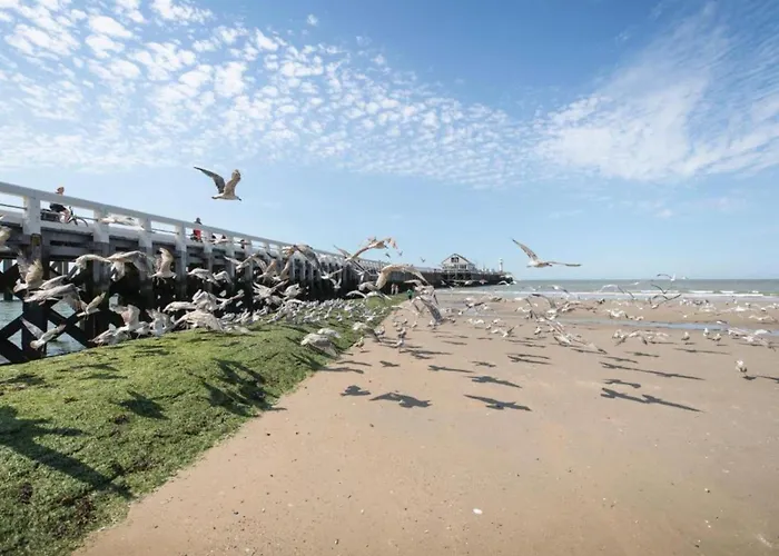 In Near The 公寓 *