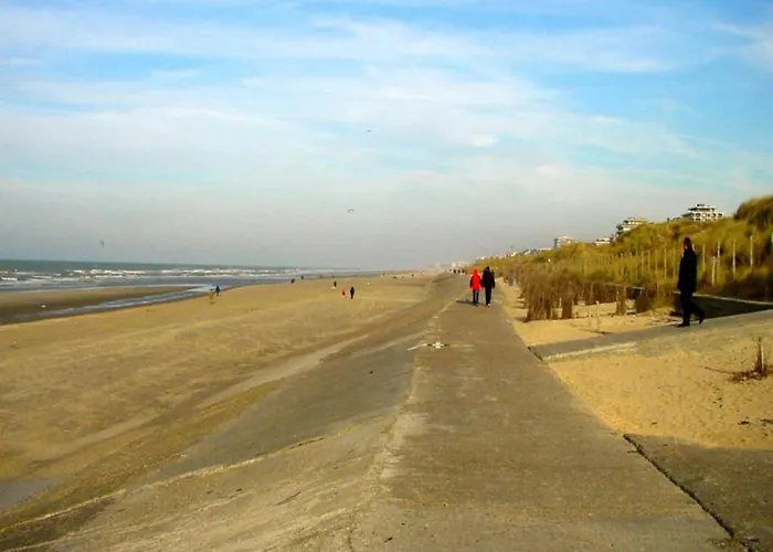 In Near The 公寓 *