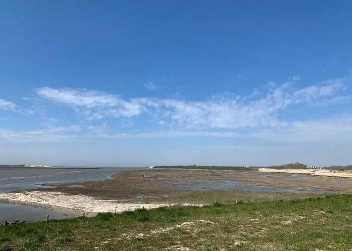 In Near The 布兰肯贝赫