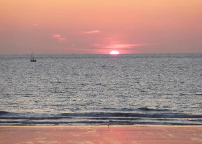 公寓 In Near The *